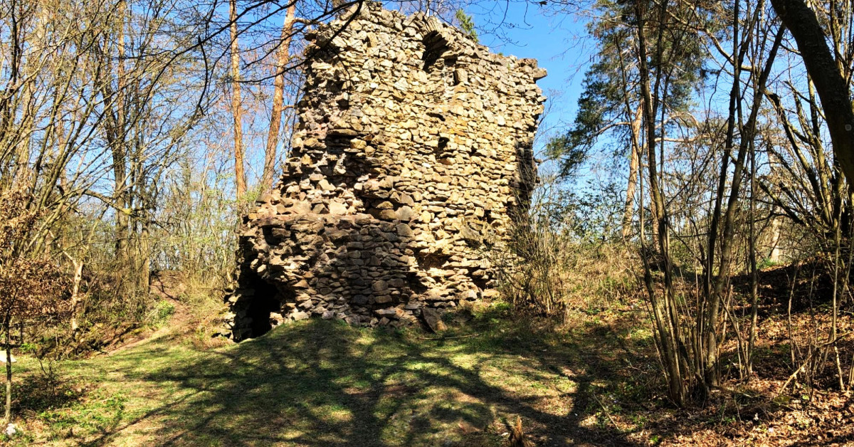 Zřícenina hradu Víckov